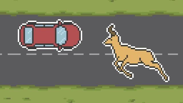 The Science of Roadkill