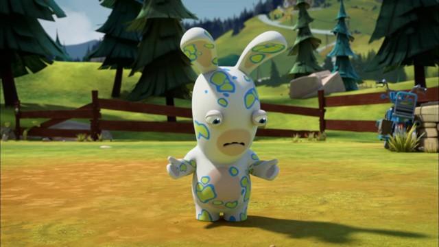 Rabbid Allergy