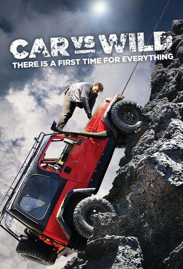 Car vs. Wild