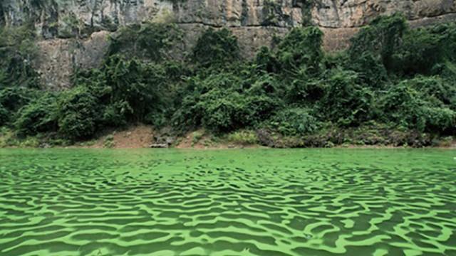 The Three Gorges