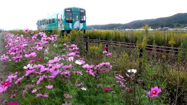 Tenryu Hamanako Railroad: Working with the Community to Revitalize the Railway