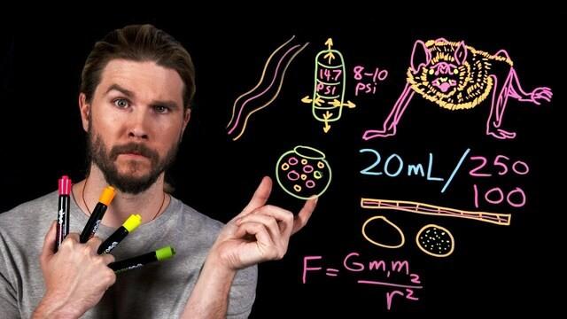 |Because Science Live| Drained by Vampire Bats