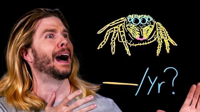 |Because Science Live| How Many Spiders Do You Swallow in Your Sleep?