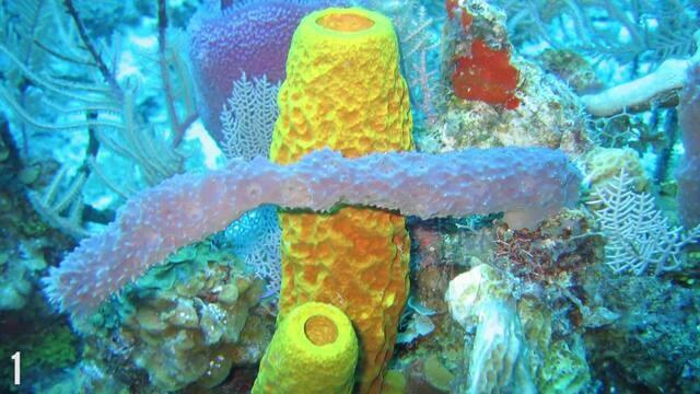 7 Deepest Places on Earth