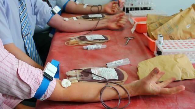 What Are Blood Types?