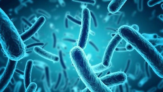 This is The New Killer Virus That Will End Humanity