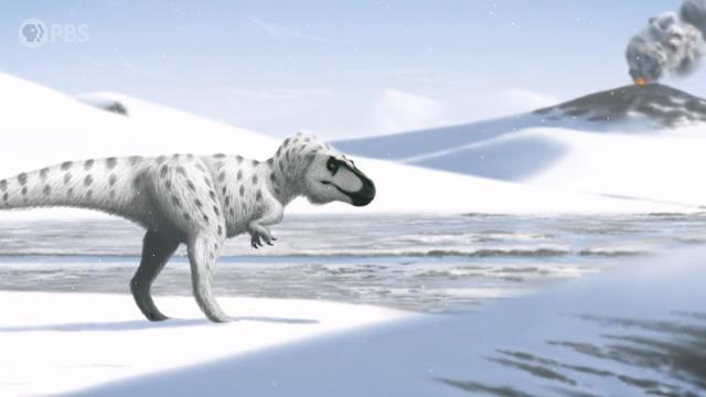 When Dinosaurs Chilled in the Arctic