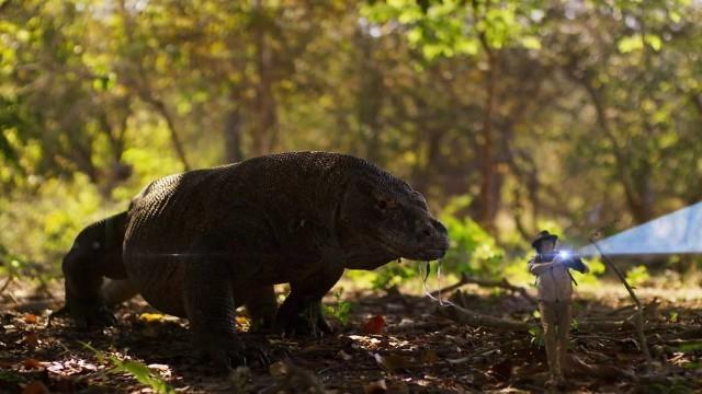 Andy and the Komodo Dragon