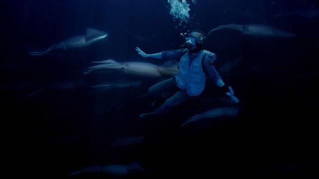 Andy and the Humpback Whale