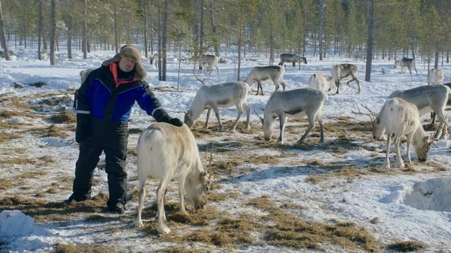 De groep brengt rendierherder Petri een bezoekje