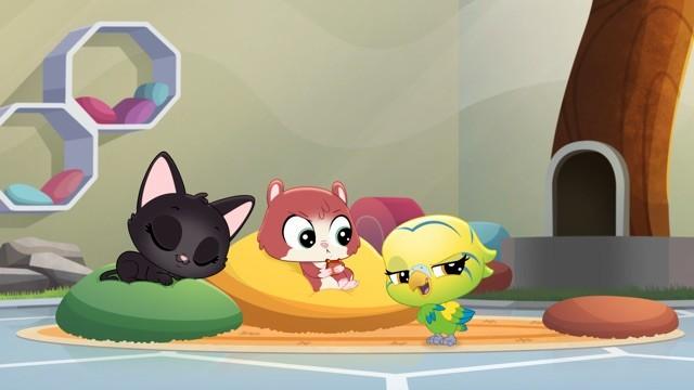 Pet Side Story