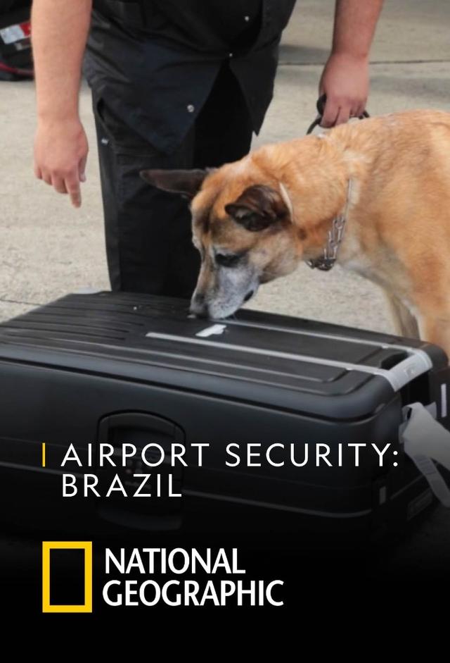 Airport Security: Brazil