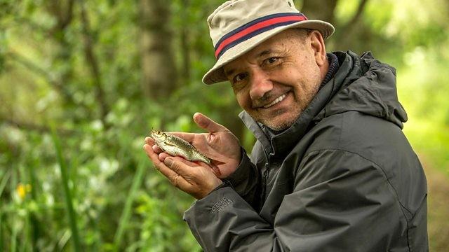 Crucian Carp - Great Somerfold Lakes, Wiltshire