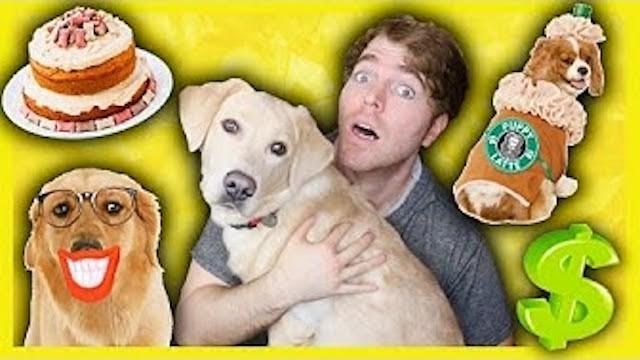 TRYING WEIRD DOG PRODUCTS