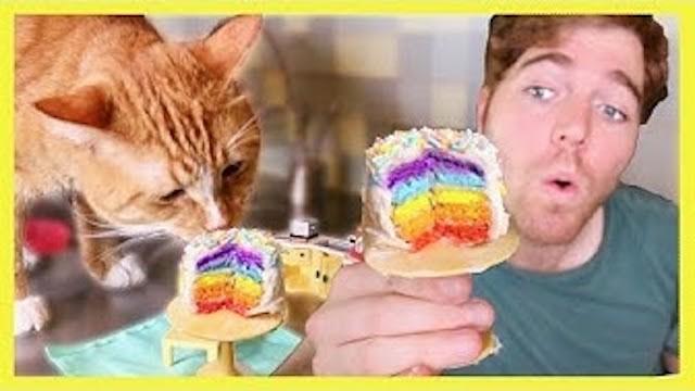 MAKING A TINY CAKE FOR MY CAT