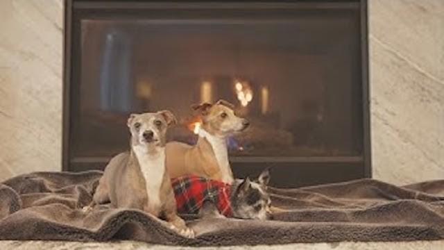 peach, kermit & marbles yule log