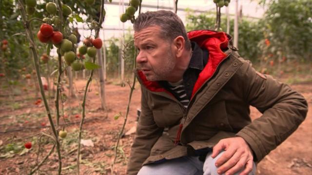 El fraude de la comida eco