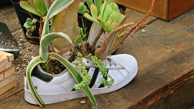 Creating Planters