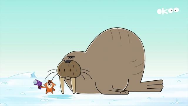 Dances with Walruses