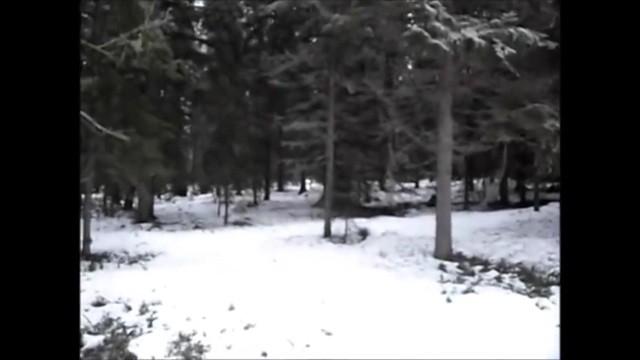 5 Unexplainable Things Captured in the Woods