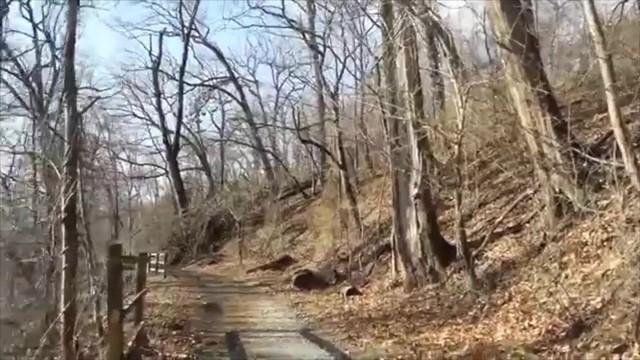 Gwynn Falls Leakin Park - Baltimore's Dumping Ground