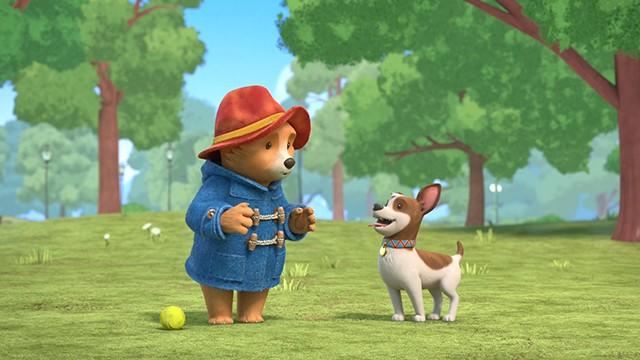 Paddington Meets Lucky