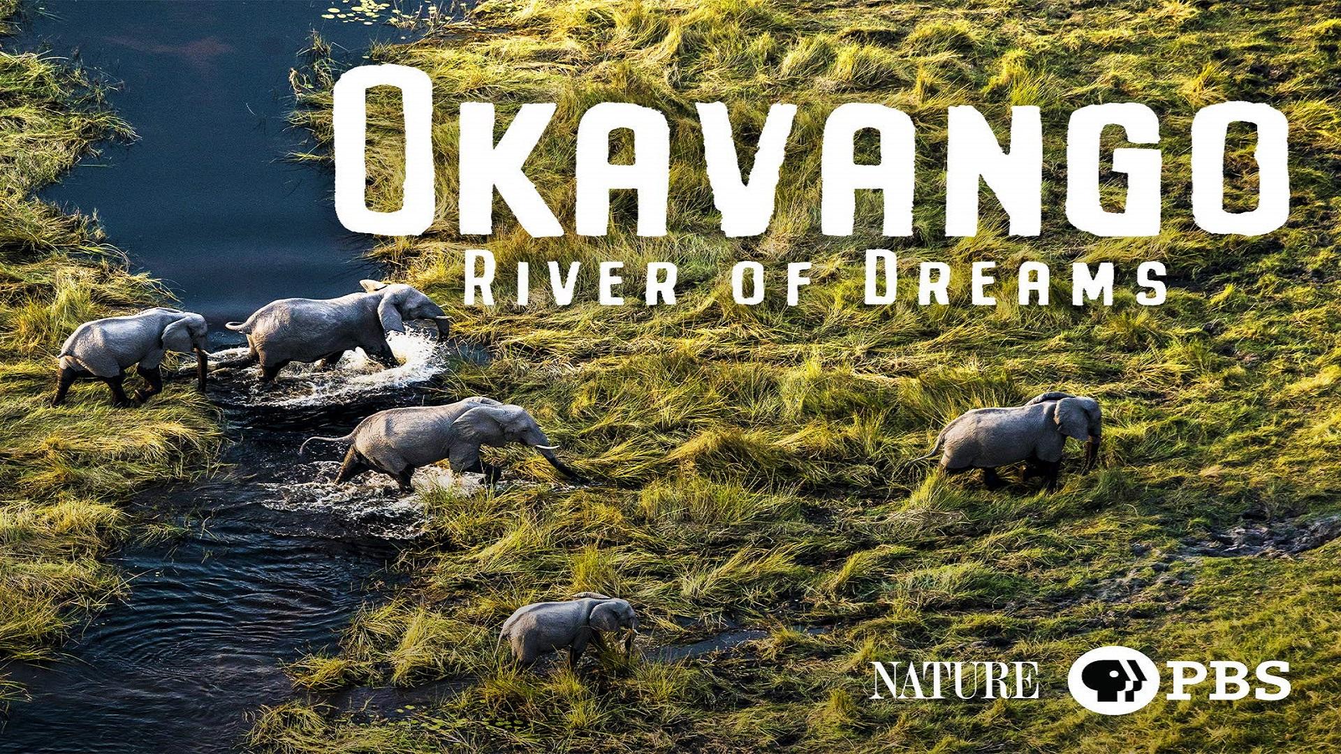 Okavango: River of Dreams