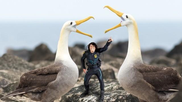 Andy and the Waved Albatross