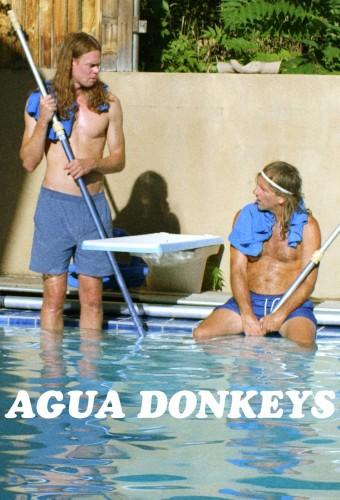 Agua Donkeys