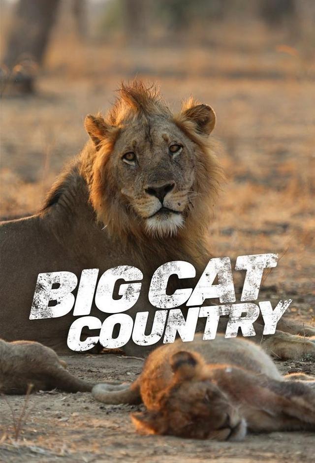 Big Cat Country | TV Time