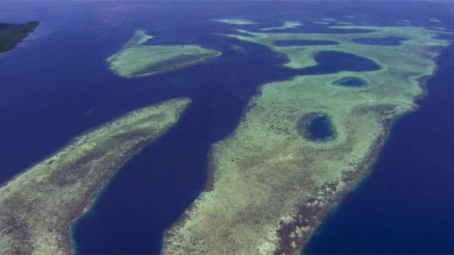 The Great Barrier Reef