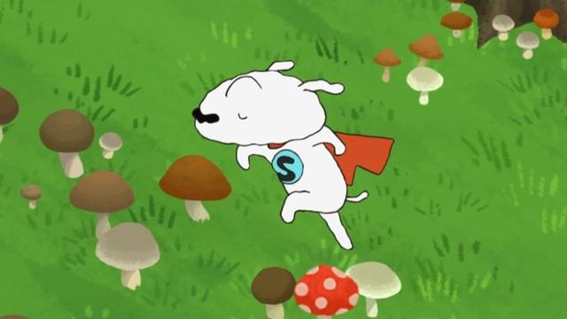 Having Fun Picking Mushrooms