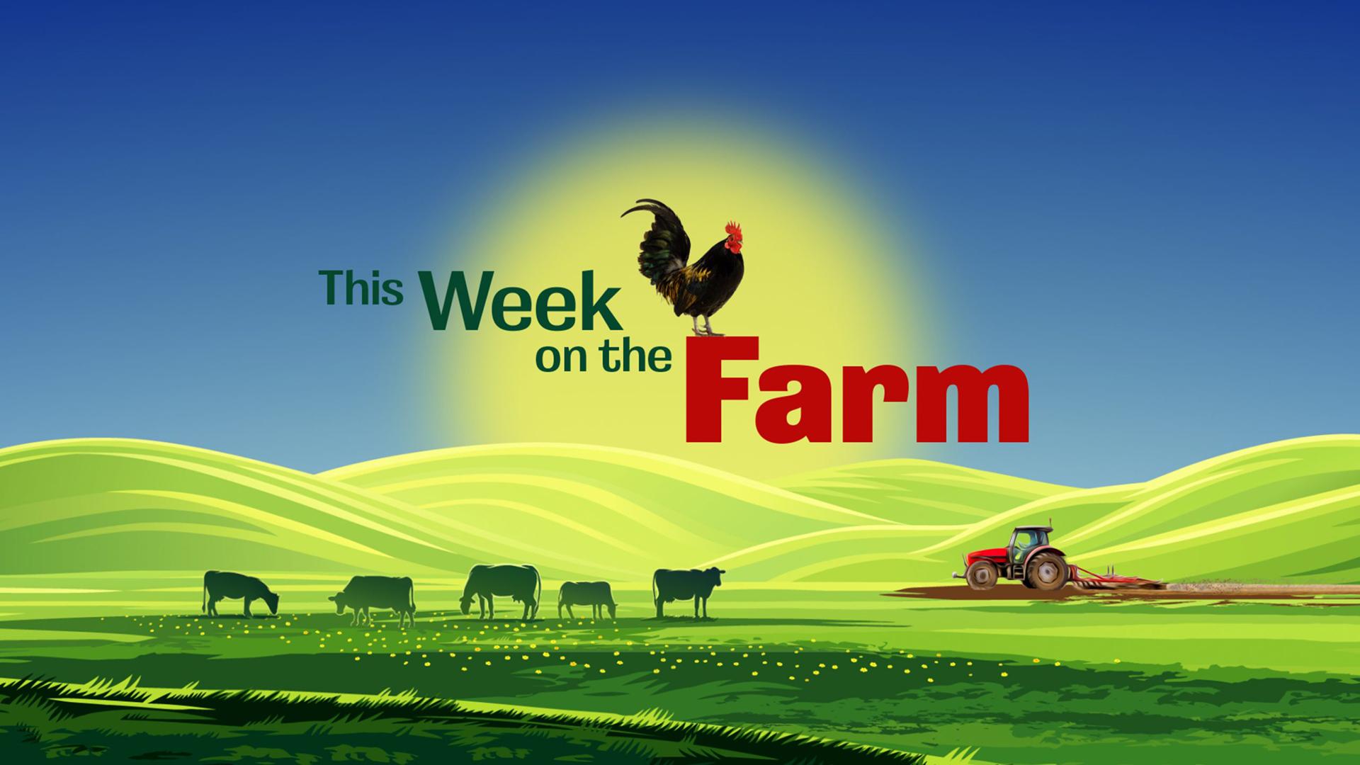 This Week on the Farm