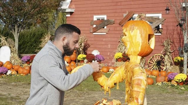 Outrageous Pumpkins