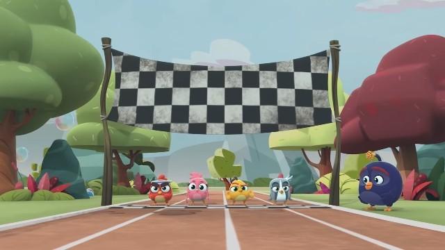 Bird racers!