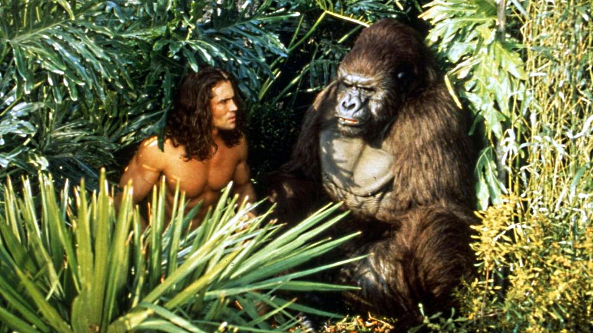 Tarzan - Die Rückkehr