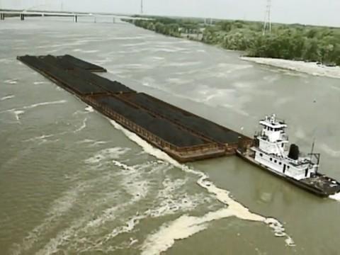 The Tennessee Valley Authority