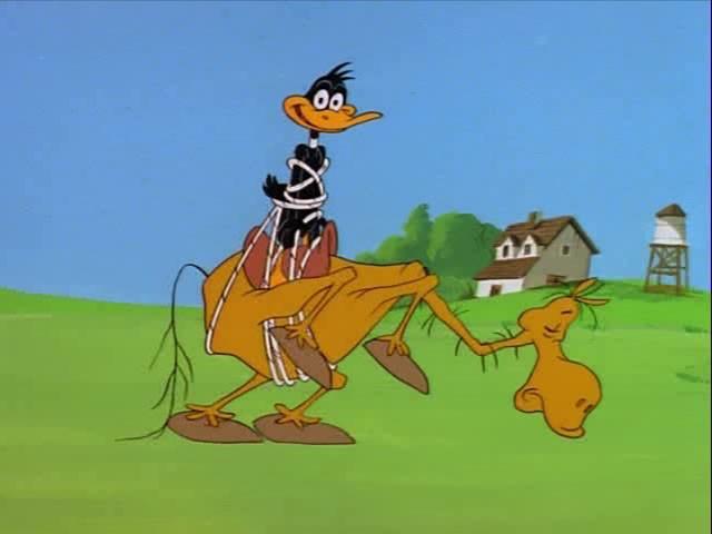 Daffy Flies North