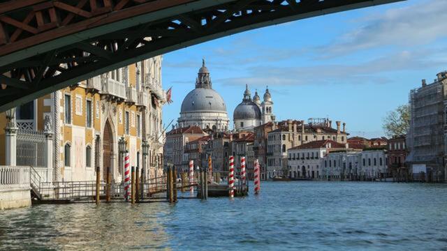 Venice is Drowning, Joaquin Phoenix, Rafa