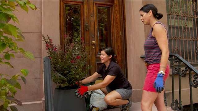 Stoop Planters; Fireplace Insert