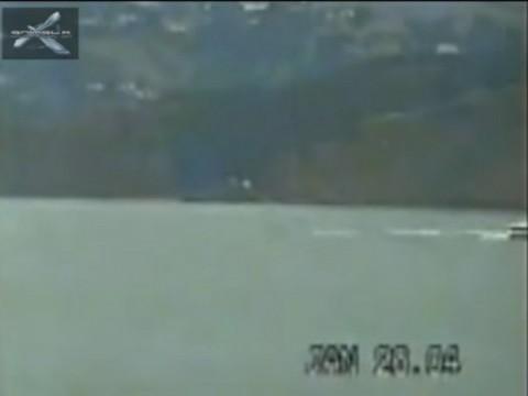 Animal X Uncut: Video of San Francisco Bay Monster