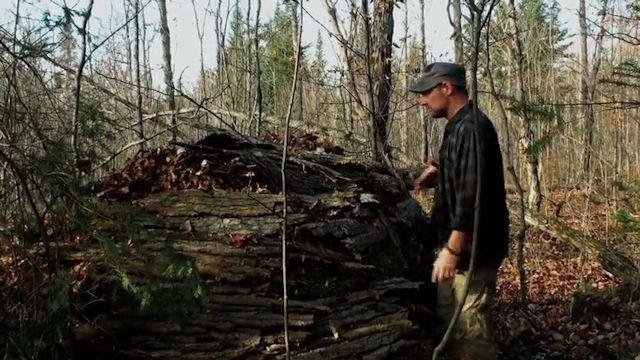 Survivorman Masterclass- Shelter Building