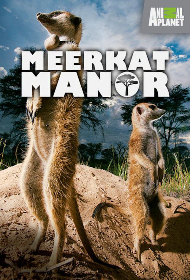 Meerkat Manor