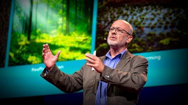 Tim Flannery: Can seaweed help curb global warming?