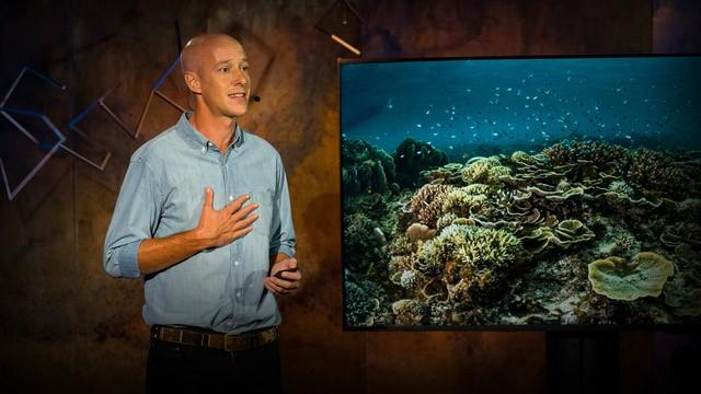 Alasdair Harris: How a handful of fishing villages sparked a marine conservation revolution