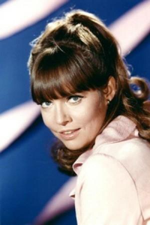 Picture of Barbara Feldon