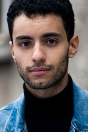 Picture of Mehdi Meskar
