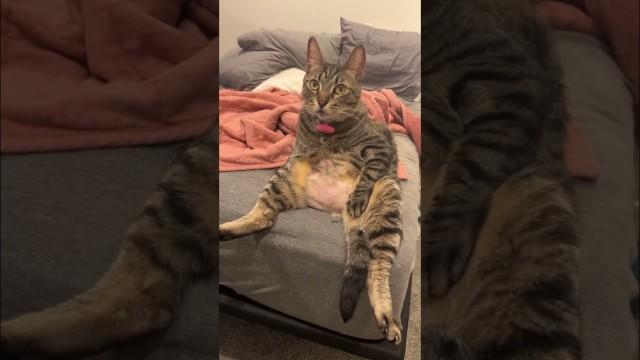 Don't Interrupt His Show