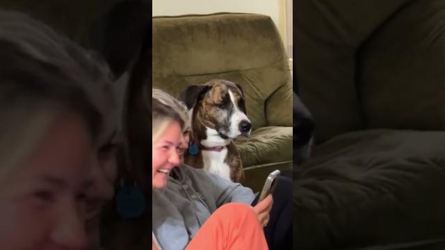 The Ultimate Side Eye