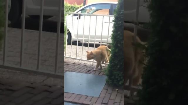 He Got Mad at Himself